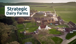 Hampshire: Lean on the land - applying learnings from Japan